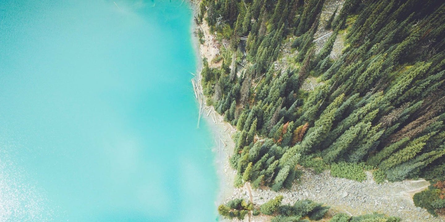 A lake meets the forest